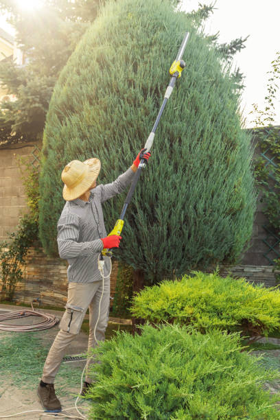 Best Lawn Maintenance Plans  in Stockton, KS